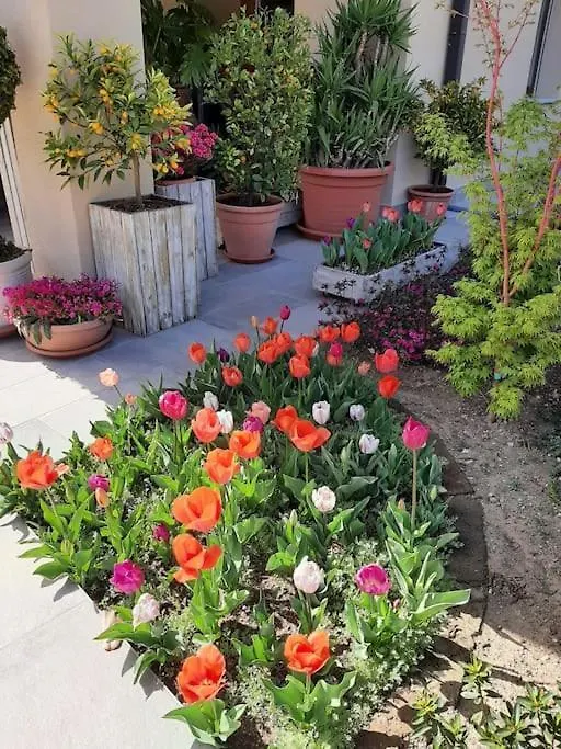 B&B Vegan La Mucca Felice - Grazioso Appartamento Nel Verde Rancio Valcuvia 0*,  Italia