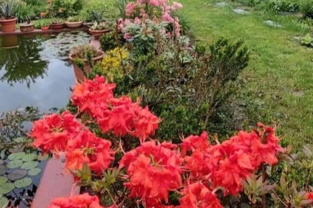B&B Vegan La Mucca Felice - Grazioso Appartamento Nel Verde Rancio Valcuvia Italia