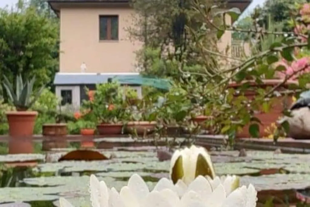 B&B Vegan La Mucca Felice - Grazioso Appartamento Nel Verde Rancio Valcuvia