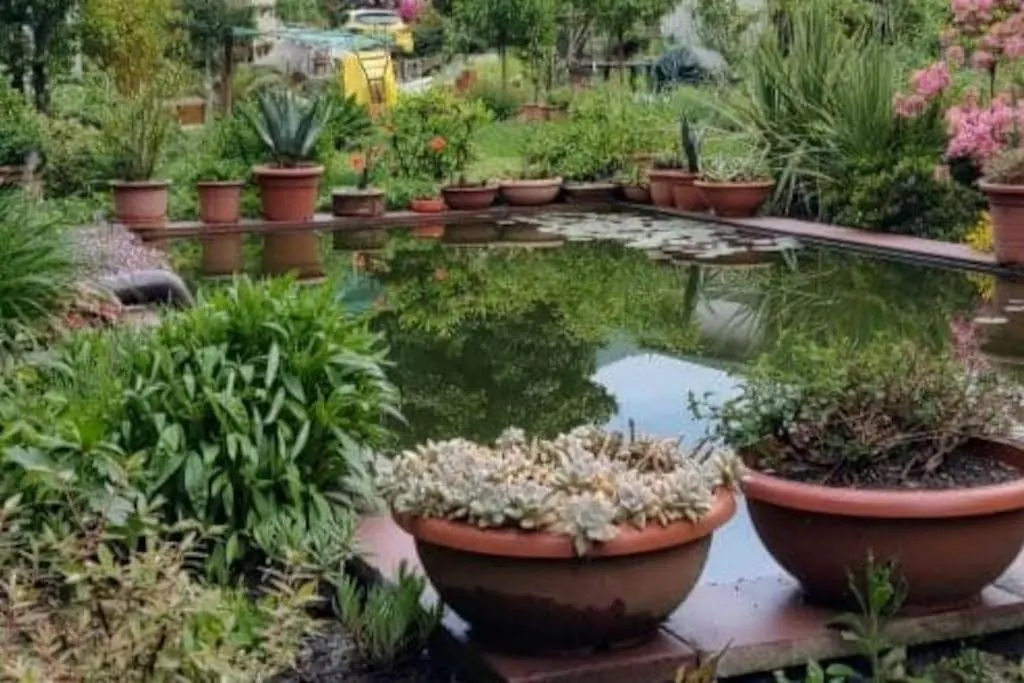 Apartmán B&B Vegan La Mucca Felice - Grazioso Appartamento Nel Verde Rancio Valcuvia