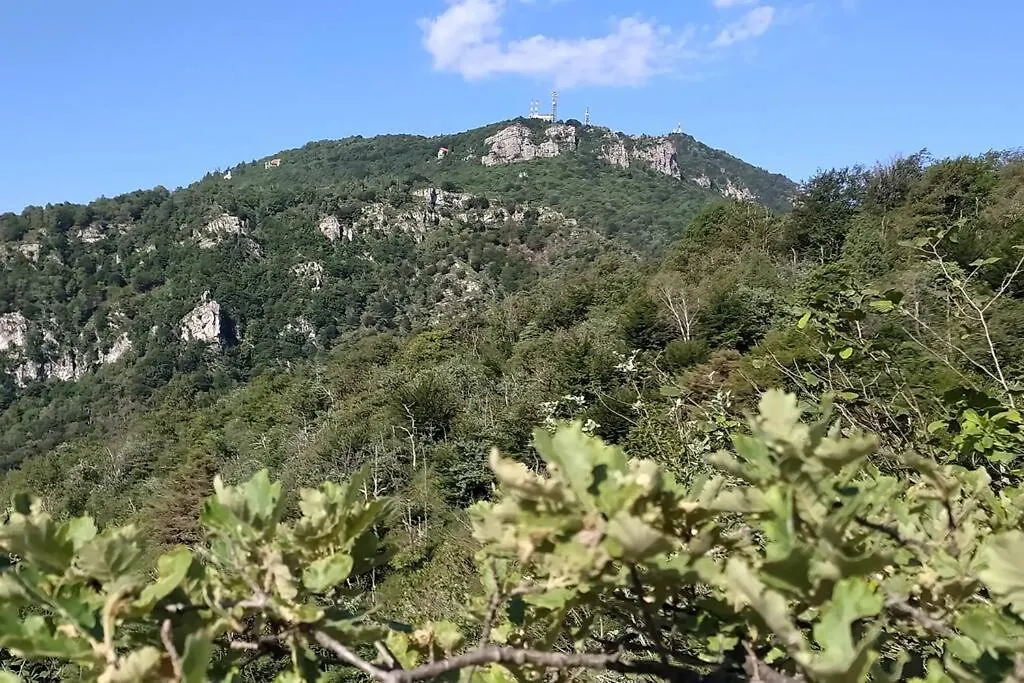 Apartmán B&B Vegan La Mucca Felice - Grazioso Appartamento Nel Verde Rancio Valcuvia