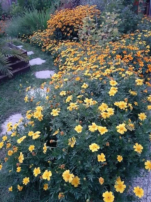 B&B Vegan La Mucca Felice - Grazioso Appartamento Nel Verde Rancio Valcuvia Appartement