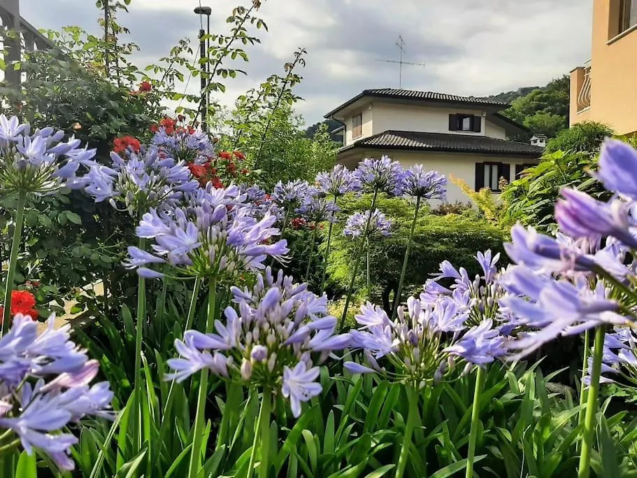 Appartement B&B Vegan La Mucca Felice - Grazioso Appartamento Nel Verde Rancio Valcuvia
